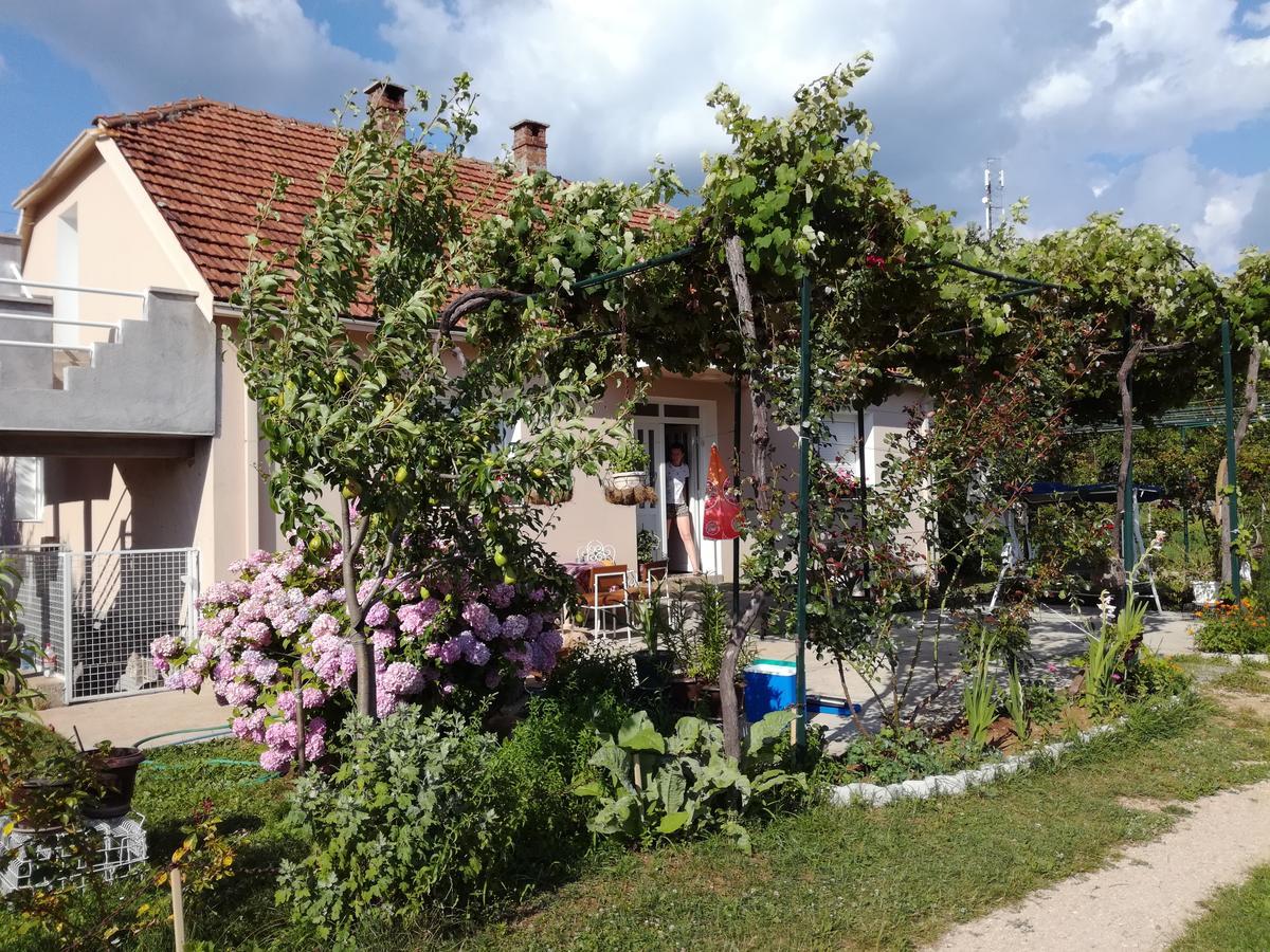 Frile Apartments Nikšić Buitenkant foto