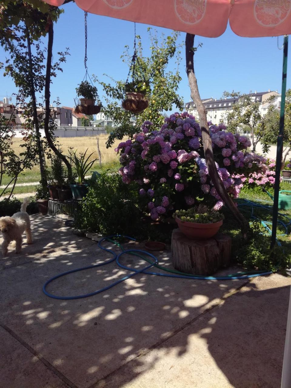 Frile Apartments Nikšić Buitenkant foto